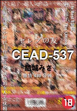 CEAD-537480 ����