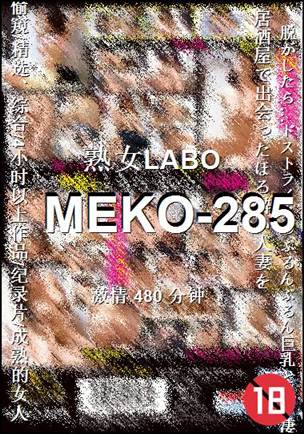 MEKO-285480 
