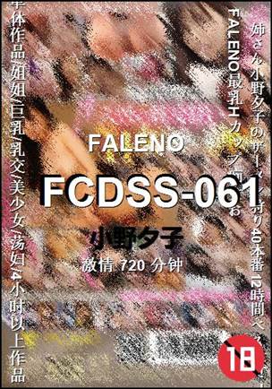 FCDSS-061720 