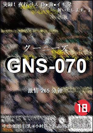 GNS-070265 