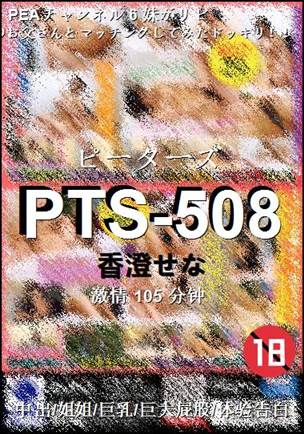 PTS-508105 