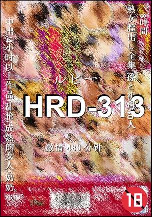 HRD-313480 
