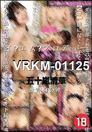 VRKM-0112584 