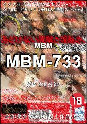 MBM-733240 