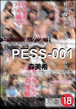 PESS-001200 