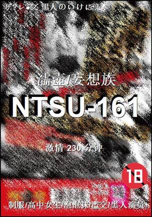 NTSU-161230 