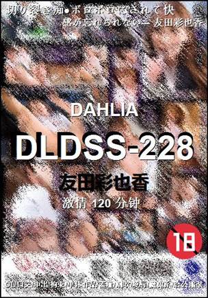 DLDSS-228120 