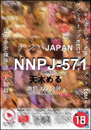 NNPJ-571120 ����
