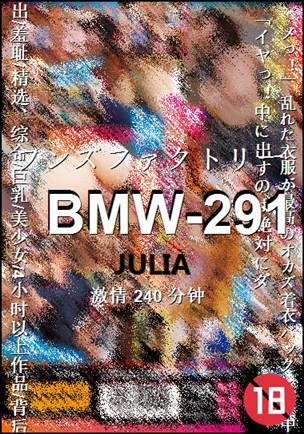 BMW-291240 