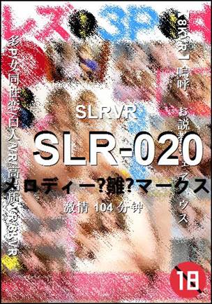 SLR-020104 