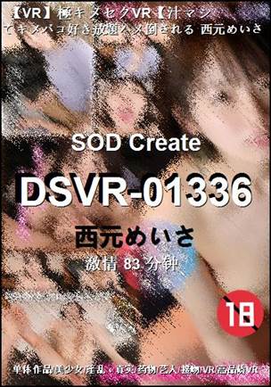 DSVR-0133683 