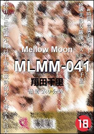MLMM-041240 