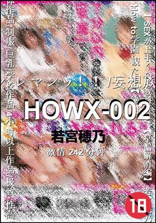HOWX-002242 
