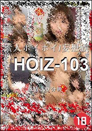 HOIZ-103320 