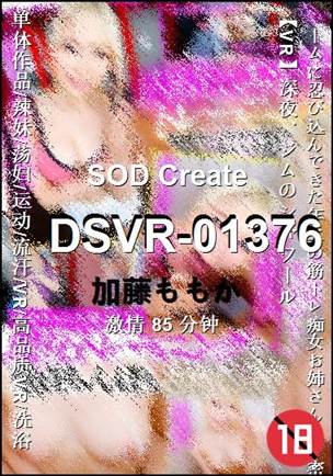 DSVR-0137685 