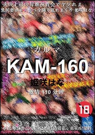 KAM-160110 