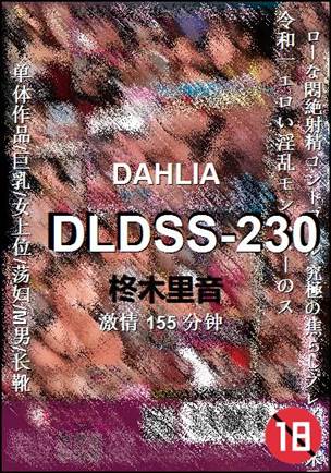 DLDSS-230155 