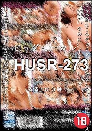 HUSR-273137 