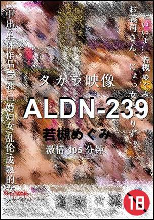 ALDN-239105 