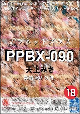 PPBX-090503 