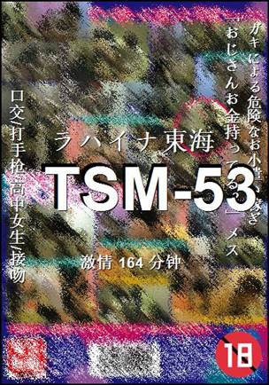 TSM-53164 