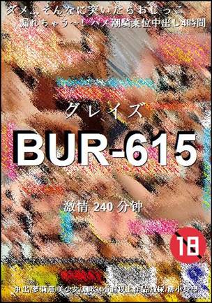 BUR-615240 