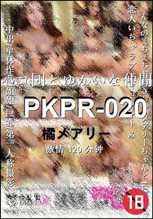 PKPR-020120 
