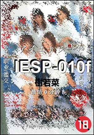 IESP-010f0 