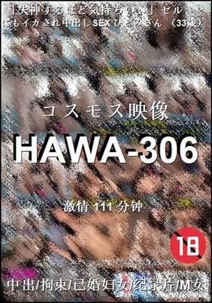 HAWA-306111 