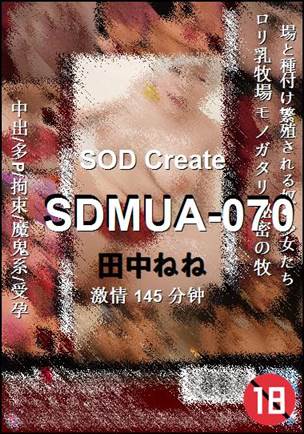 SDMUA-070145 