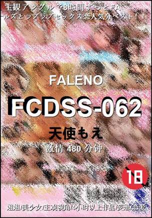 FCDSS-062480 