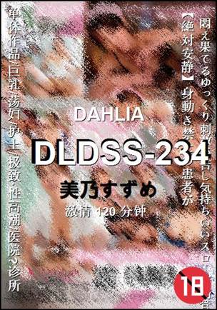 DLDSS-234120 