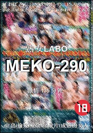 MEKO-290135 