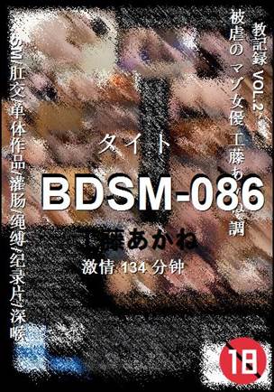 BDSM-086134 
