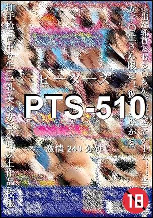 PTS-510240 