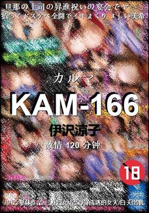 KAM-166120 