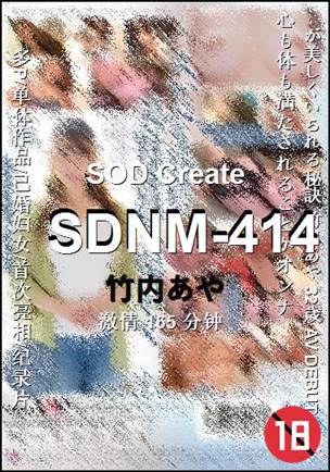 SDNM-414165 