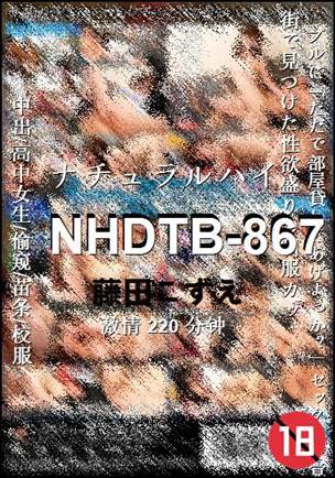 NHDTB-867220 