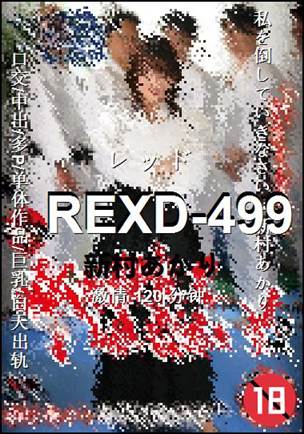 REXD-499120 