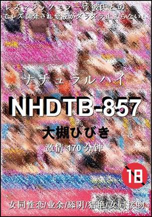 NHDTB-857170 