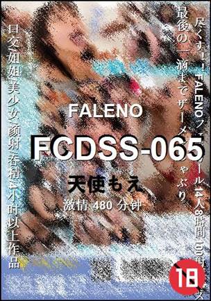 FCDSS-065480 