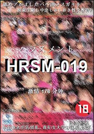 HRSM-019178 