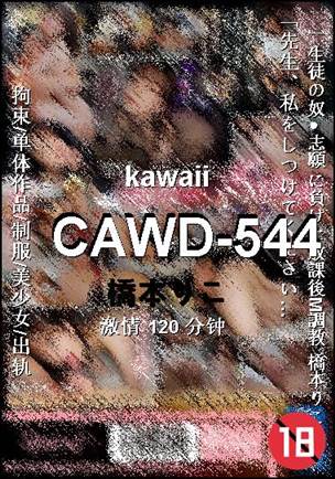 CAWD-544120 