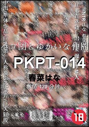 PKPT-014120 
