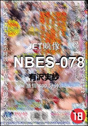 NBES-078600 