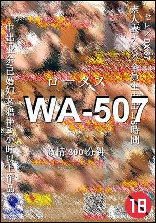 WA-507300 