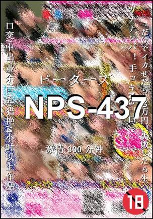 NPS-437300 