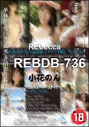 REBDB-73684 
