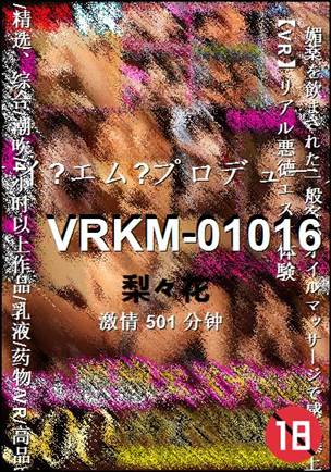 VRKM-01016501 