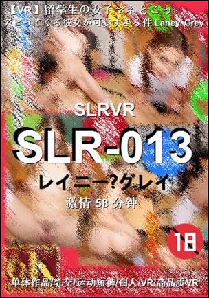 SLR-01358 